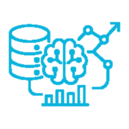 Data & AI Strategy